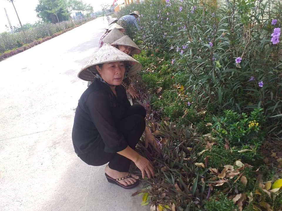 anh tin bai